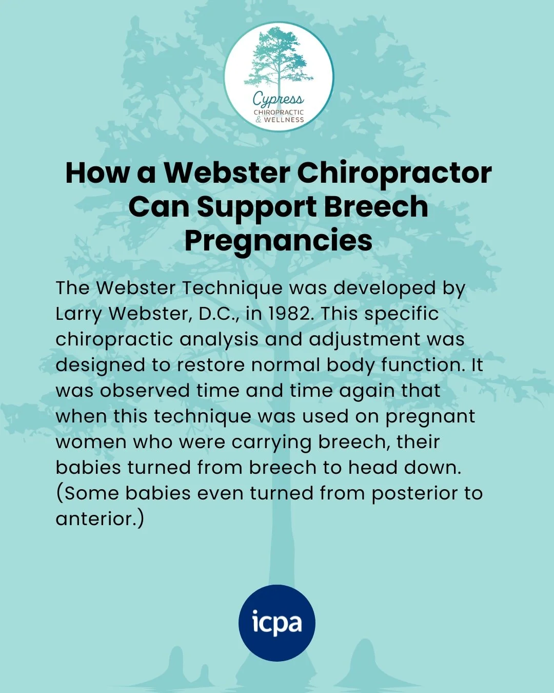 Dr. Sarah is certified in the Webster Technique which has been proven to support your body during pregnancy and help with breech positioning. Support yourself and your baby by getting prenatal chiropractic care!

#prenatal #chiropractic #prenatalchir