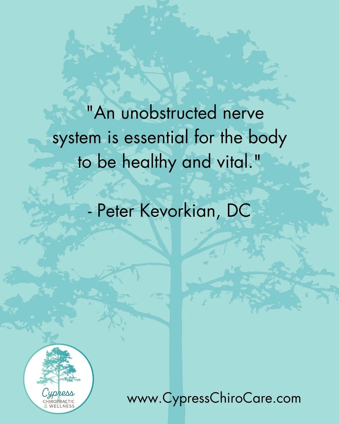 Your nervous system is the master control center of your entire body&mdash;it coordinates every cell, organ, and function that keeps you alive and thriving. When that system is clear and unobstructed, your body can communicate, adapt, and heal the wa