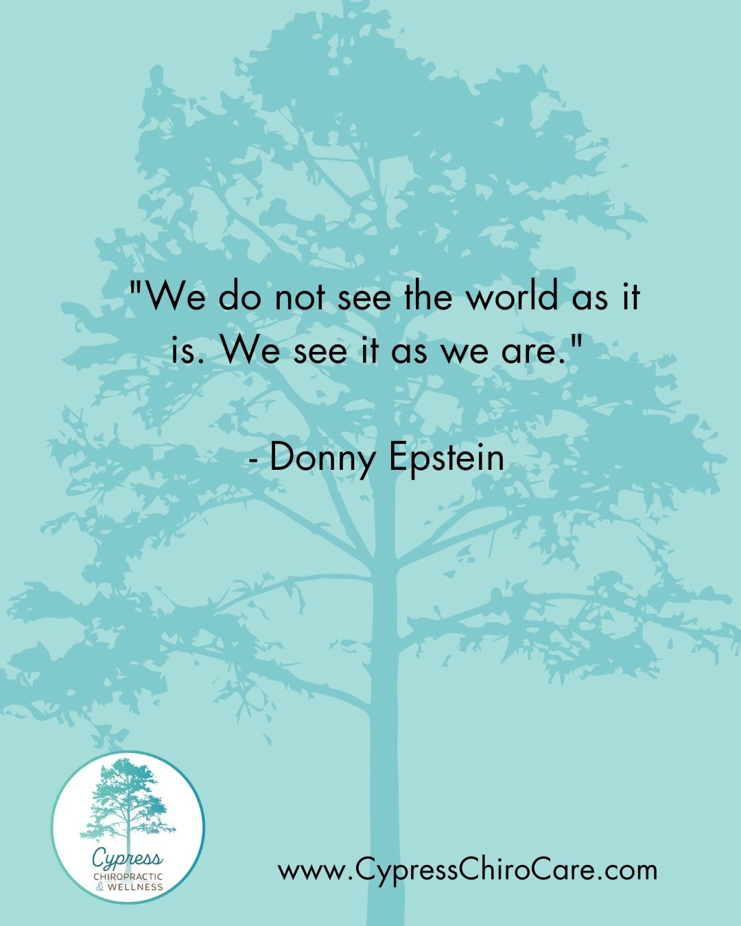 Our perception shapes our reality. 🌍 The way we experience the world is a reflection of our internal state&mdash;our emotions, tension patterns, and nervous system tone. Through chiropractic care, we help the body and mind shift out of stress and de