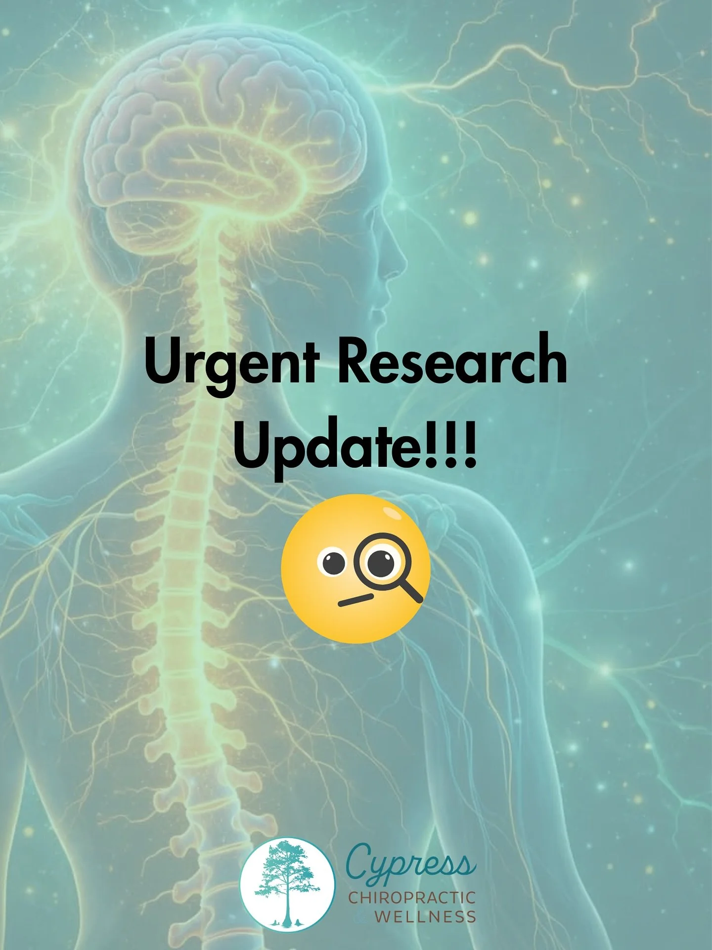 April Fools! Chiropractic works, whether you believe it or not. Chiropractic isn&rsquo;t Santa Claus. It&rsquo;s biology and it works. 

If you&rsquo;re someone who needs help in your health and you don&rsquo;t know where to start, then start at Cypr
