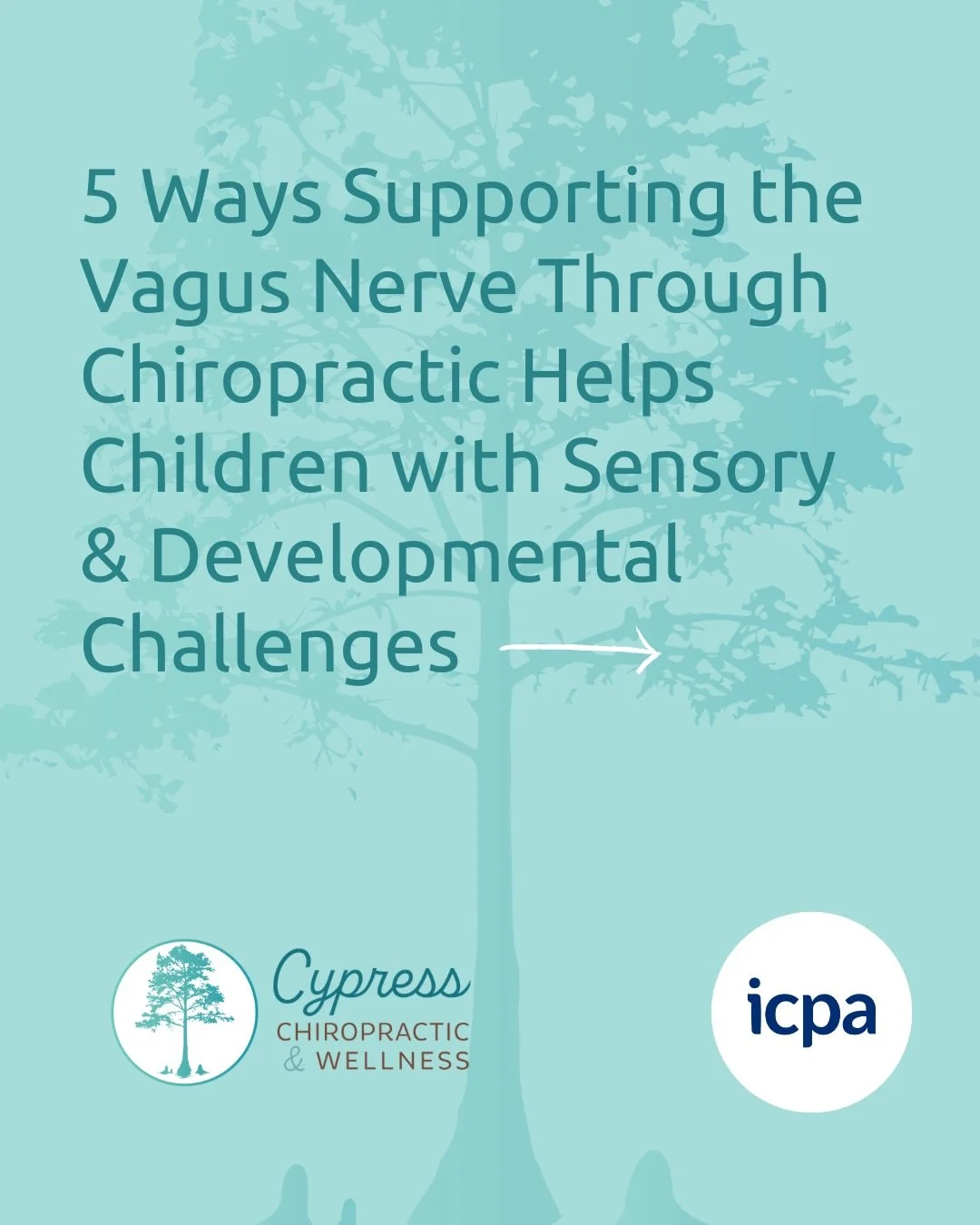 5 Ways Supporting the Vagus Nerve Through Chiropractic Helps Children with Sensory &amp; Developmental Challenges:

Eye Gaze 👀 : The Polyvagal Theory states that the myelinated portion of the vagus nerve&mdash; the social portion&mdash;goes to five 
