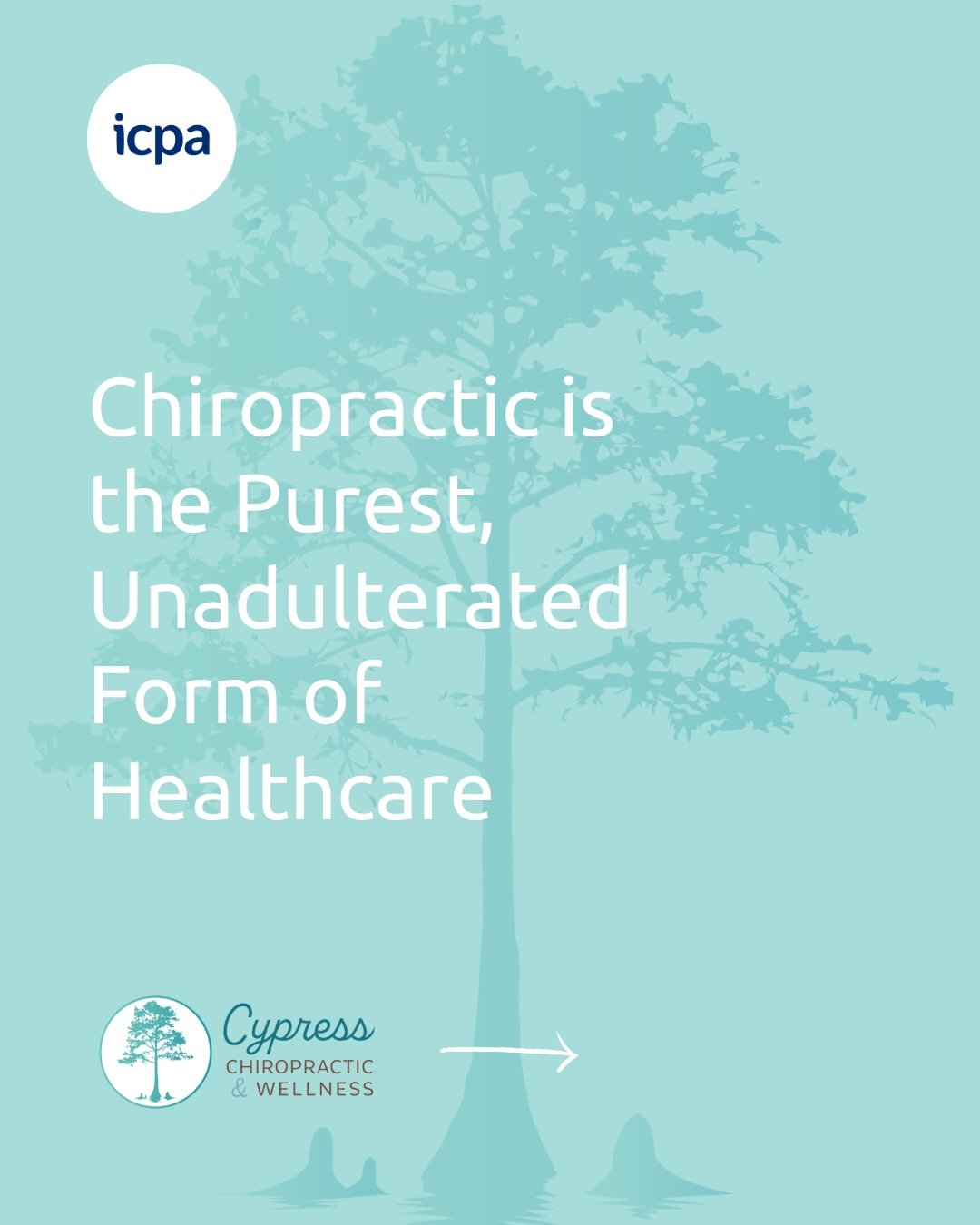 Chiropractic is the Purest, Unadulterated Form of Healthcare. ➡️

As a chiropractor, I put nothing in and take nothing out. I only use what the body has, remove interference in the master healing system of the body, and allow your mind-body system to