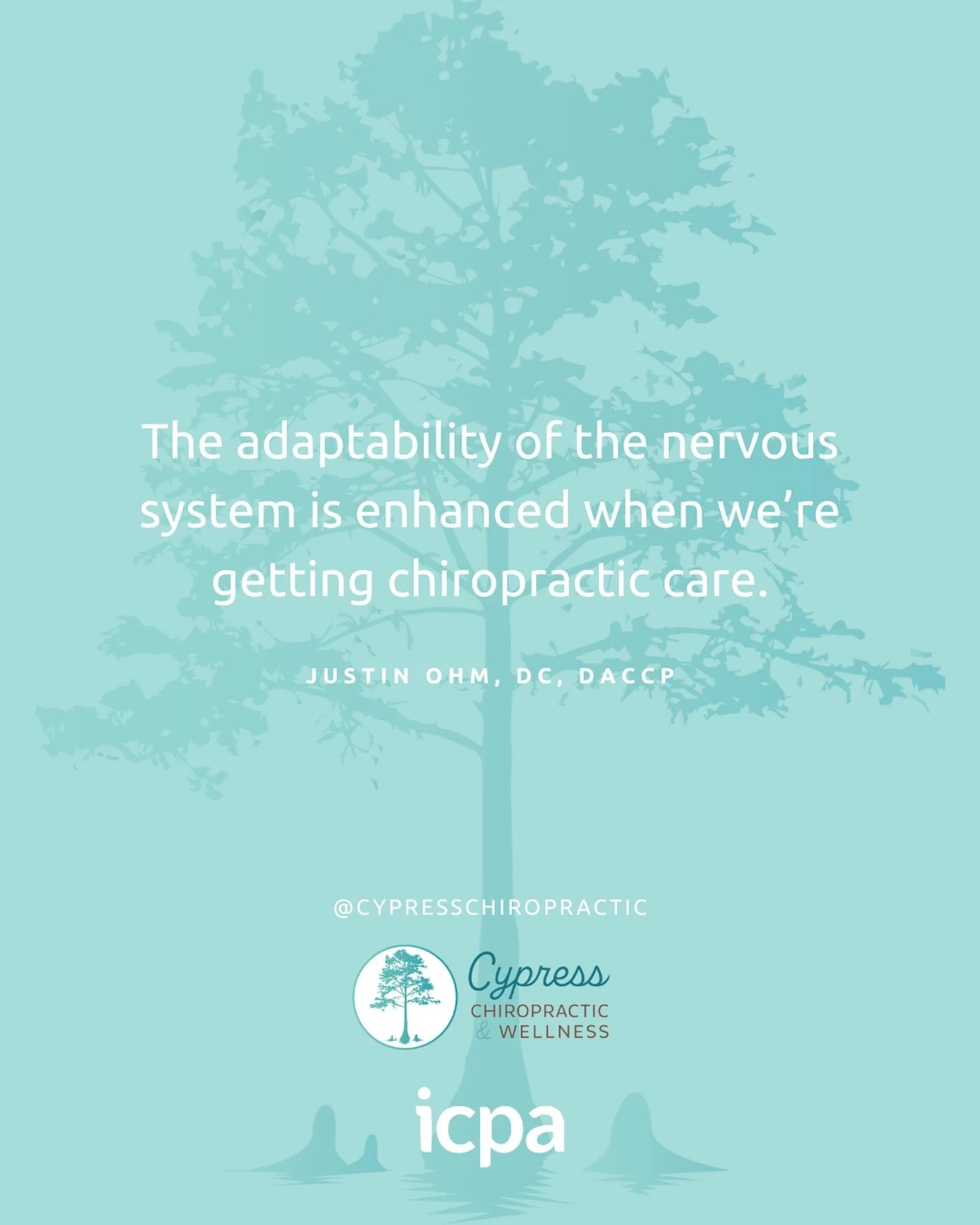 &ldquo;The adaptability of the nervous system is enhanced when we&rsquo;re getting Chiropractic care.&rdquo; -Dr. Justin Ohm.

To be healthy is to be adaptable. Get adjusted.

Book online and align! The link is in the bio. 

#charlestonchiropractor #