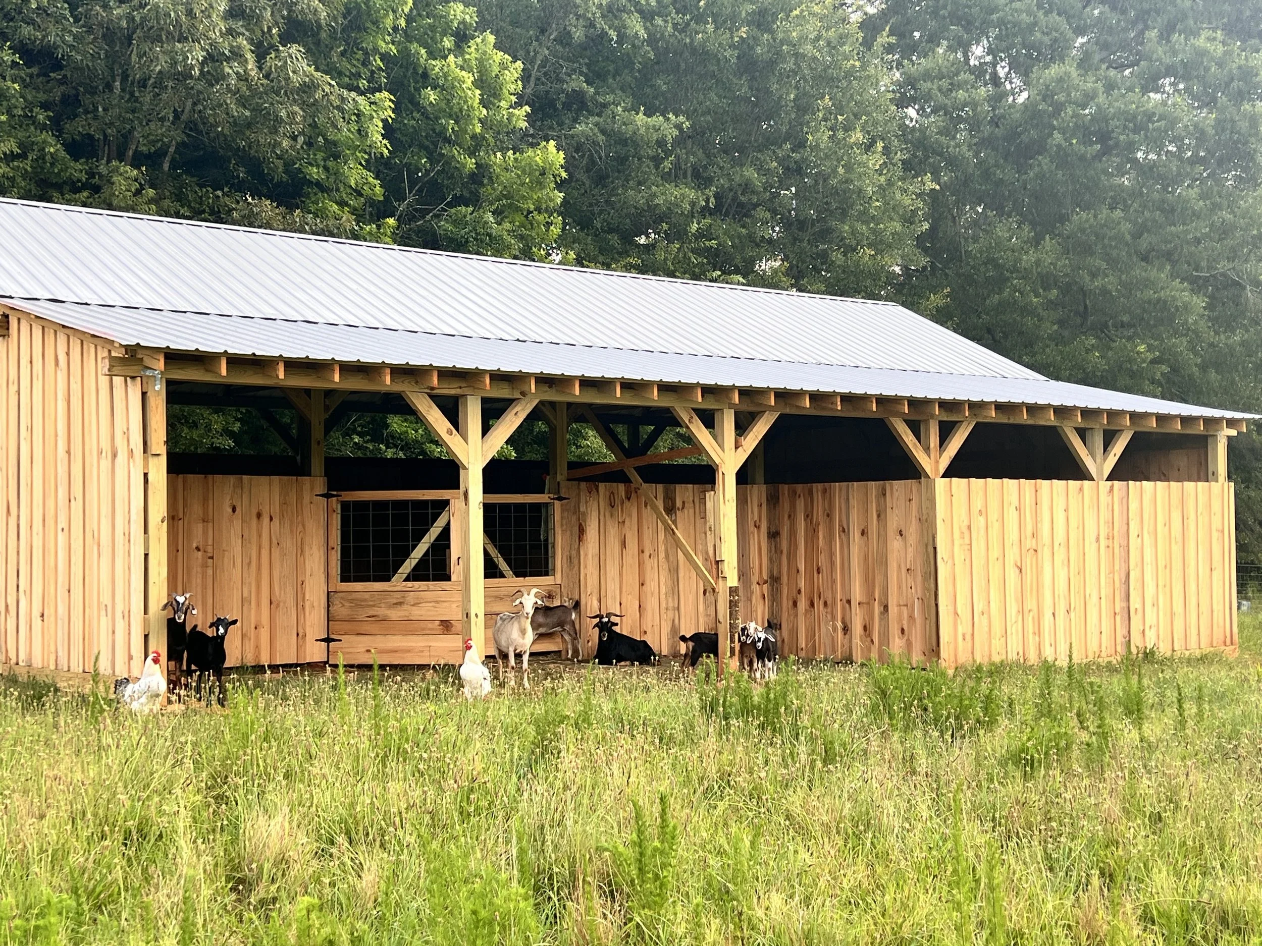 Barns and other accessory buildings