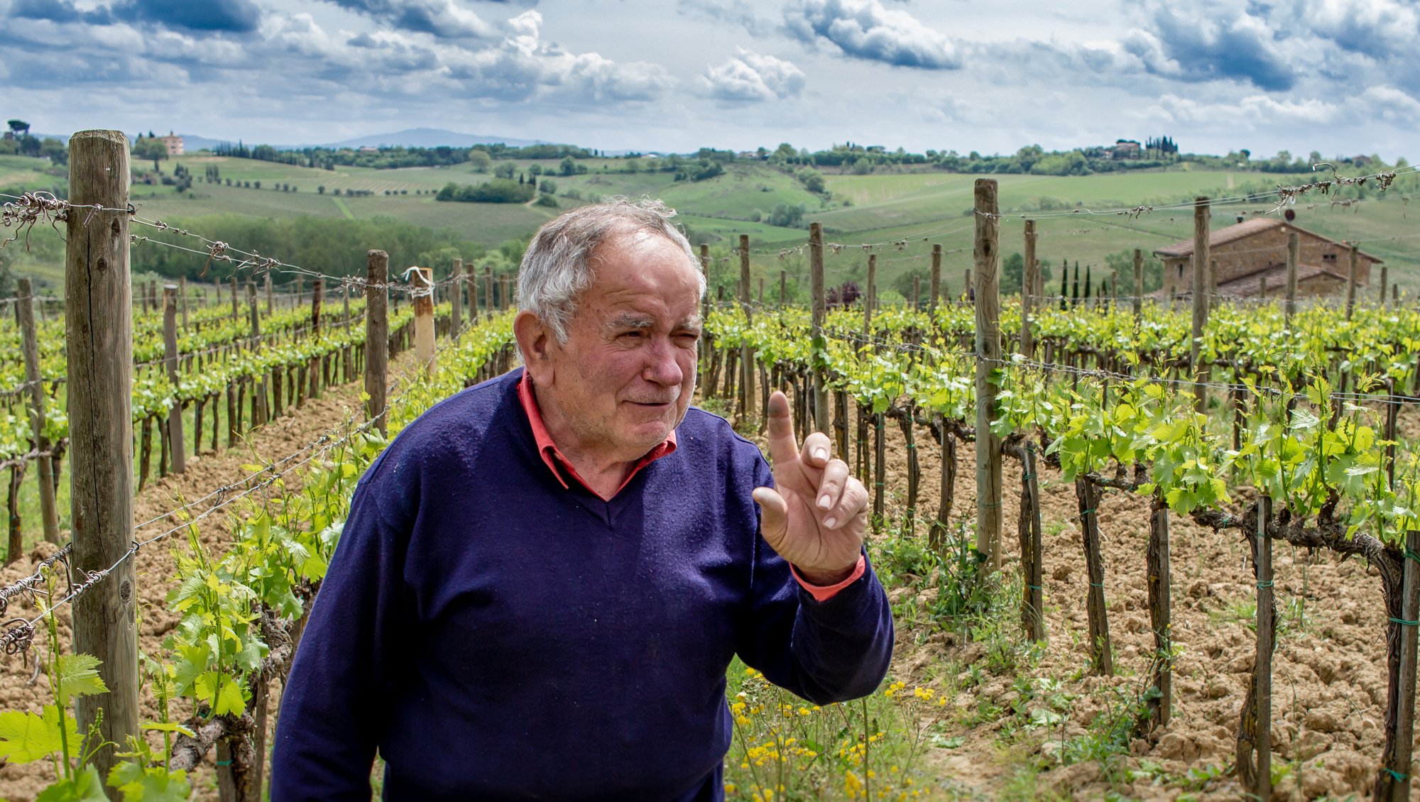GIULIANO CHE INDICA.jpg