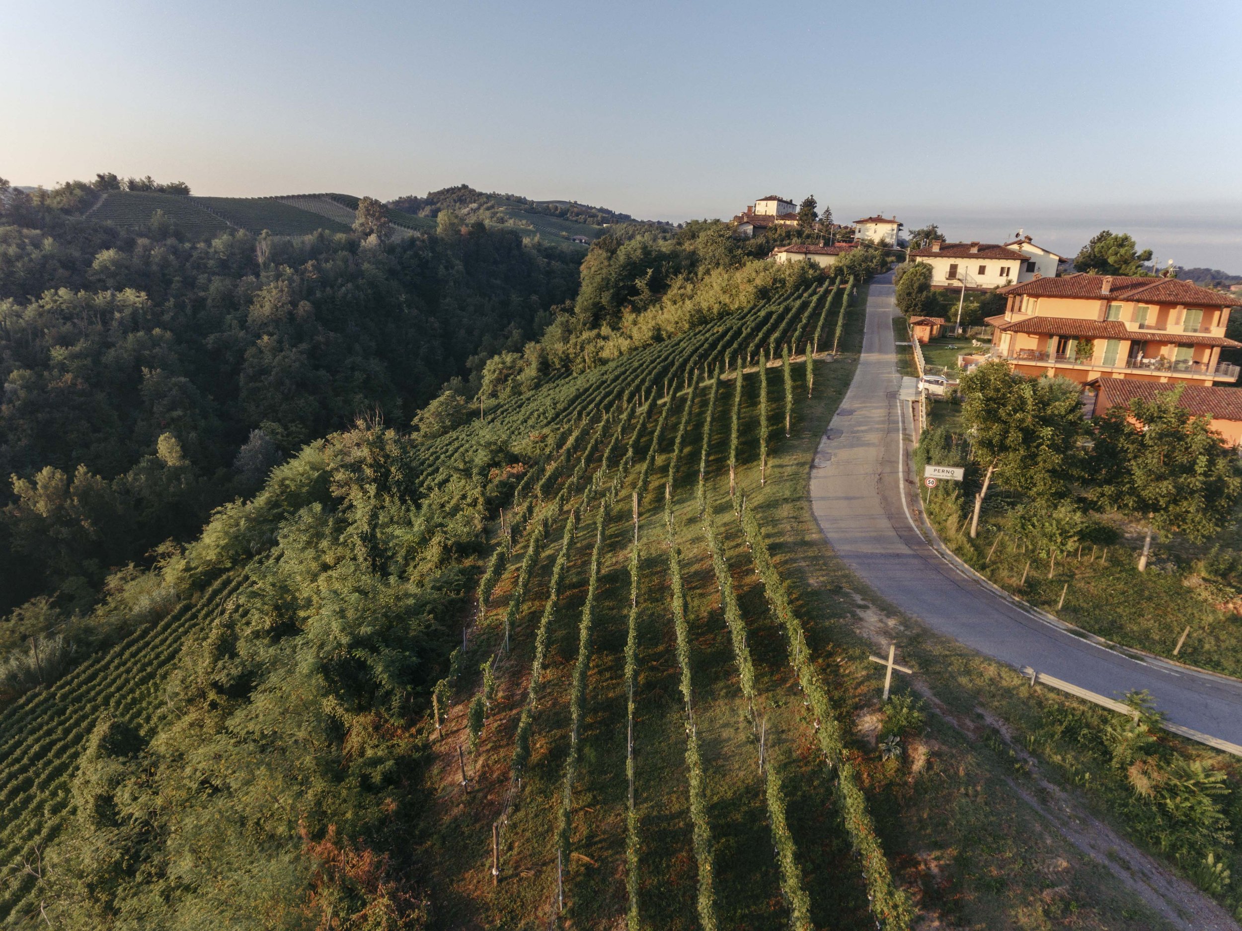 Castello di Perno's Vigna della Croce vineyard in the Perno cru. The castello itself is the highest building in this image, at the top of the village of Perno