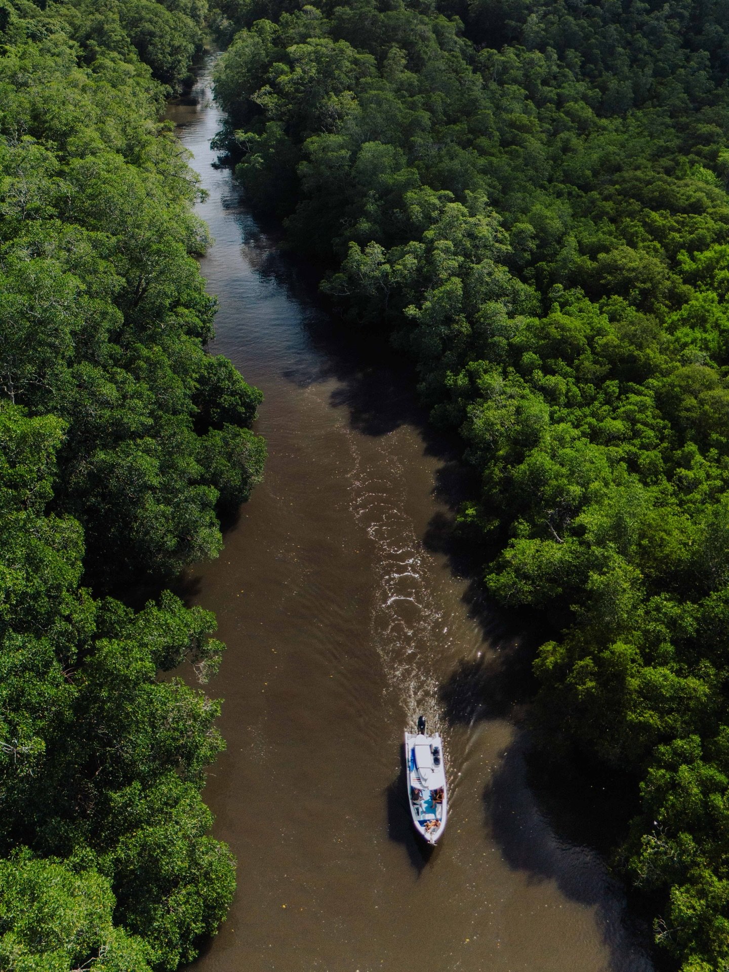 A few documentary frames from a journey through this living ecosystem.

#contentcreator #costarica #estuary #photography #boattour