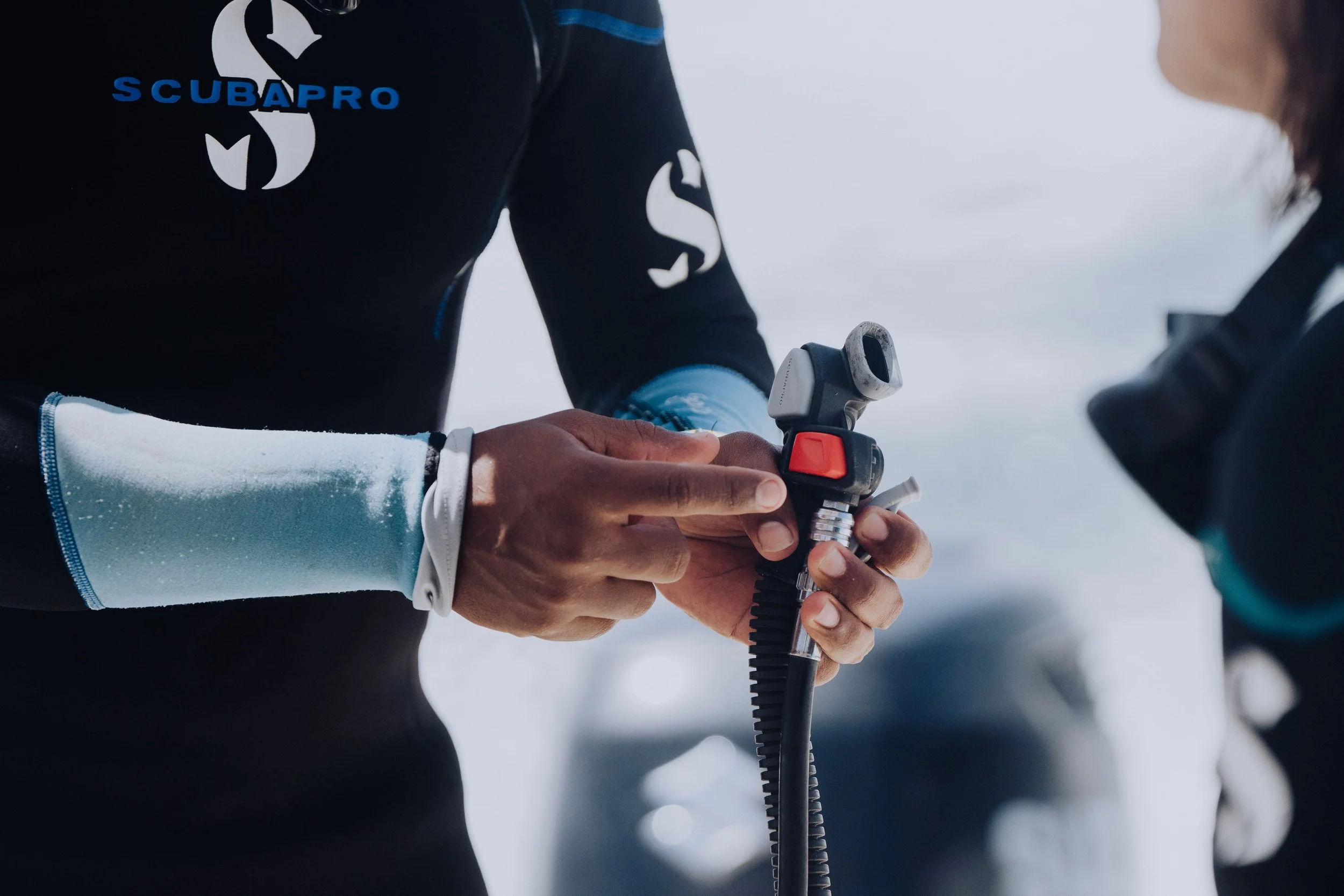 Almaco diving experience-311.jpg