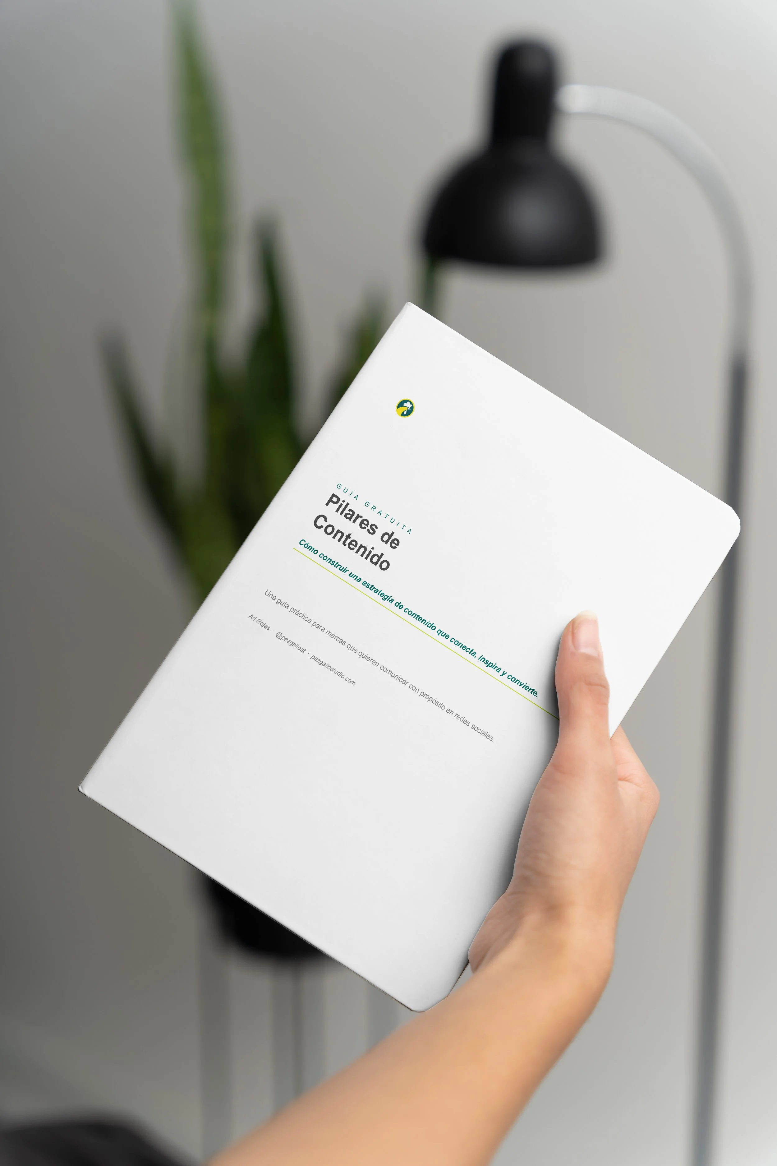 pilares de contenido.jpg