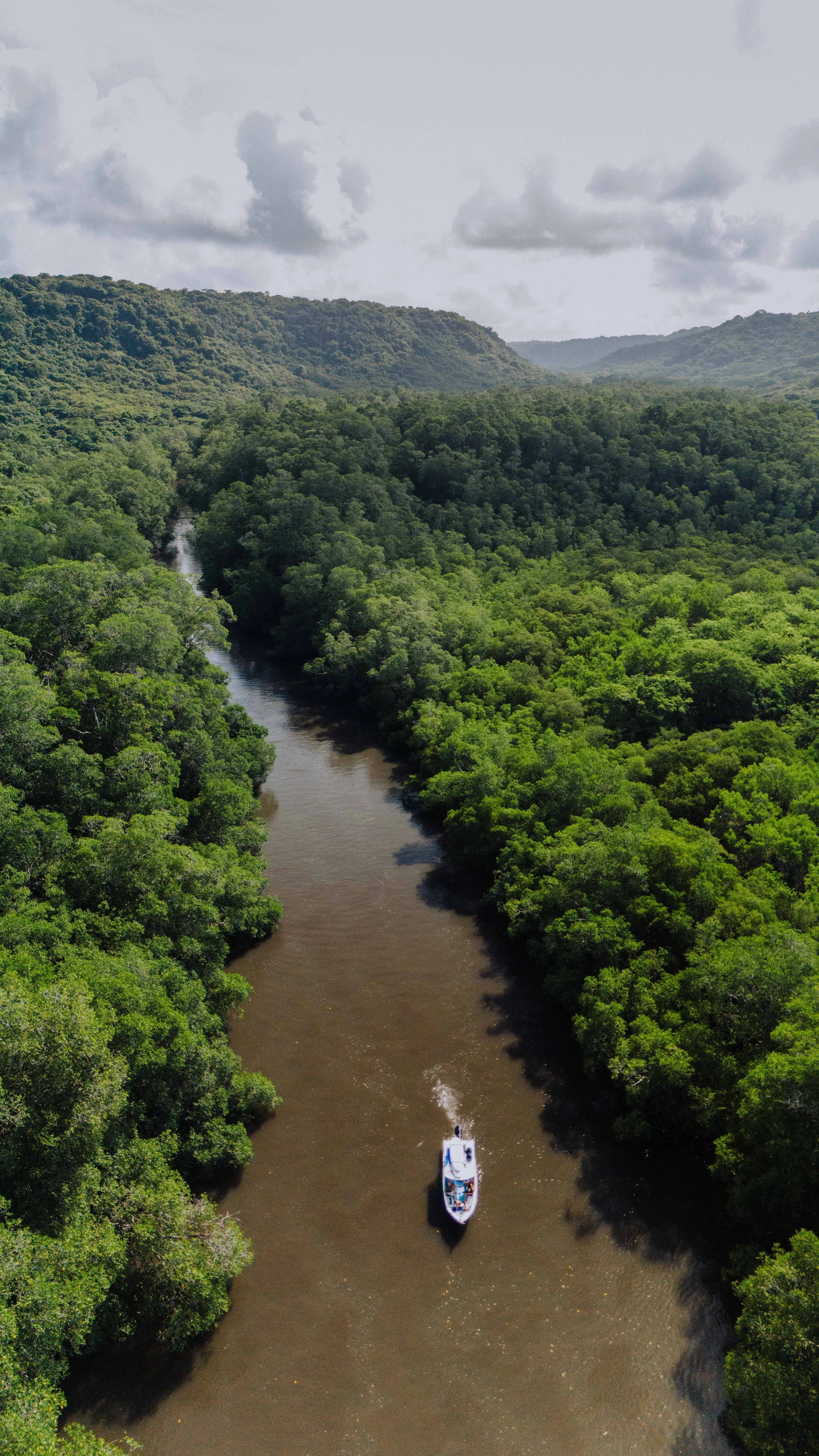 Almaco diving experience-65.jpg