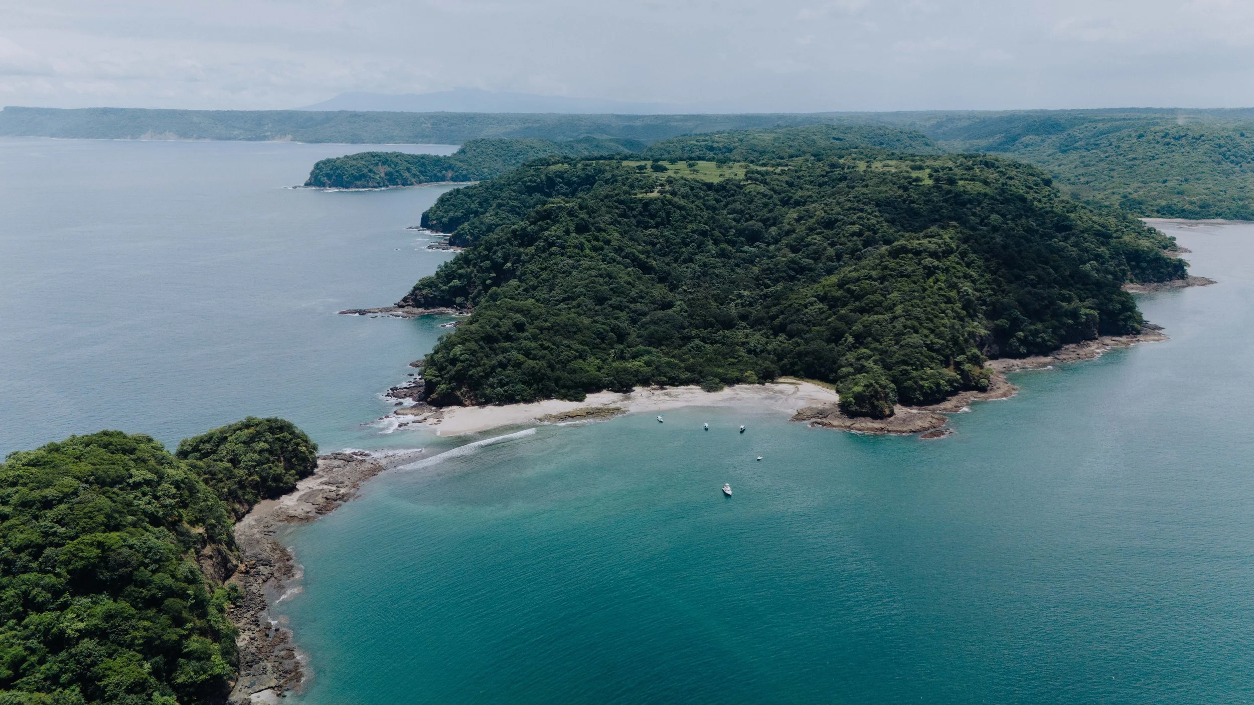 Almaco diving experience-250.jpg