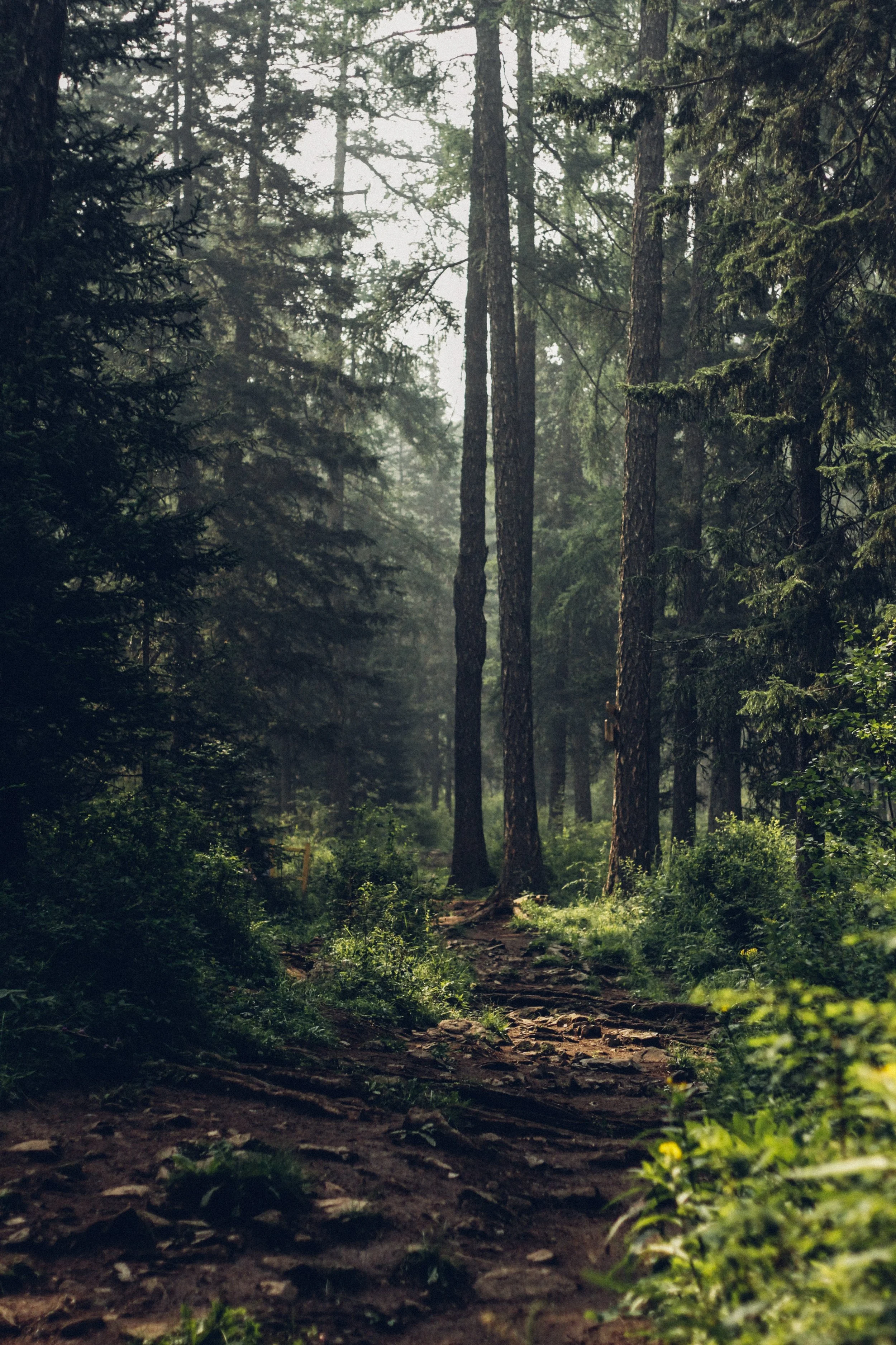 deglee-ganzorig-wQImoykAwGs-unsplash.jpg