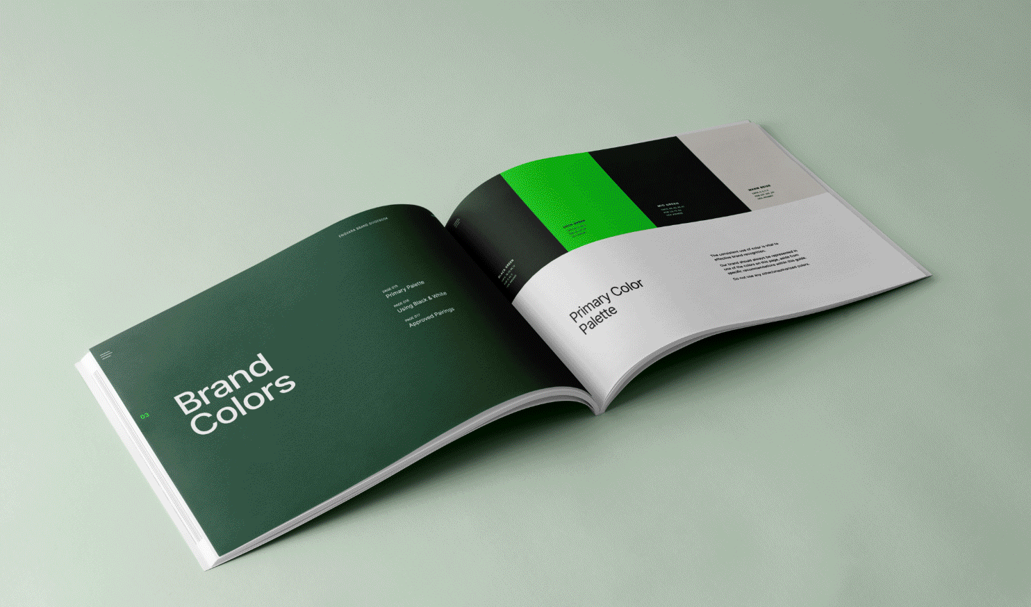 Open brand guidelines booklet showing pages titled 'Brand Colors' and 'Primary Color Palette' with color sections in green, black, and gray.
