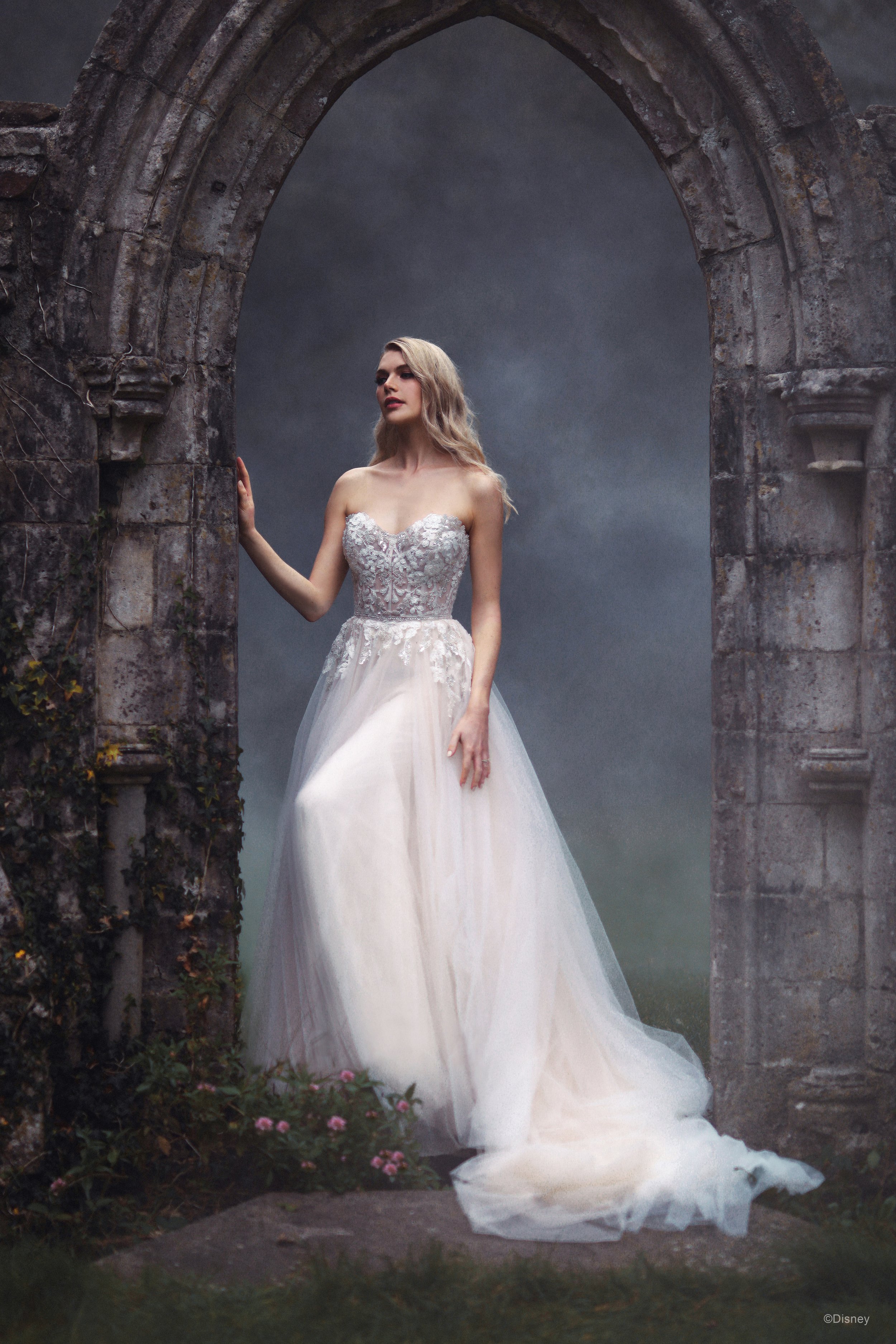 D311-Aurora-07.jpg
