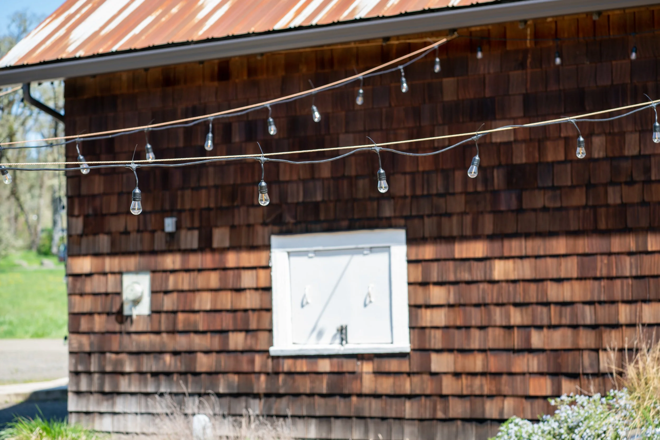 Dorris Ranch Top 4 Budget-Friendly Wedding Venues in Eugene-Springfield — Kat ...