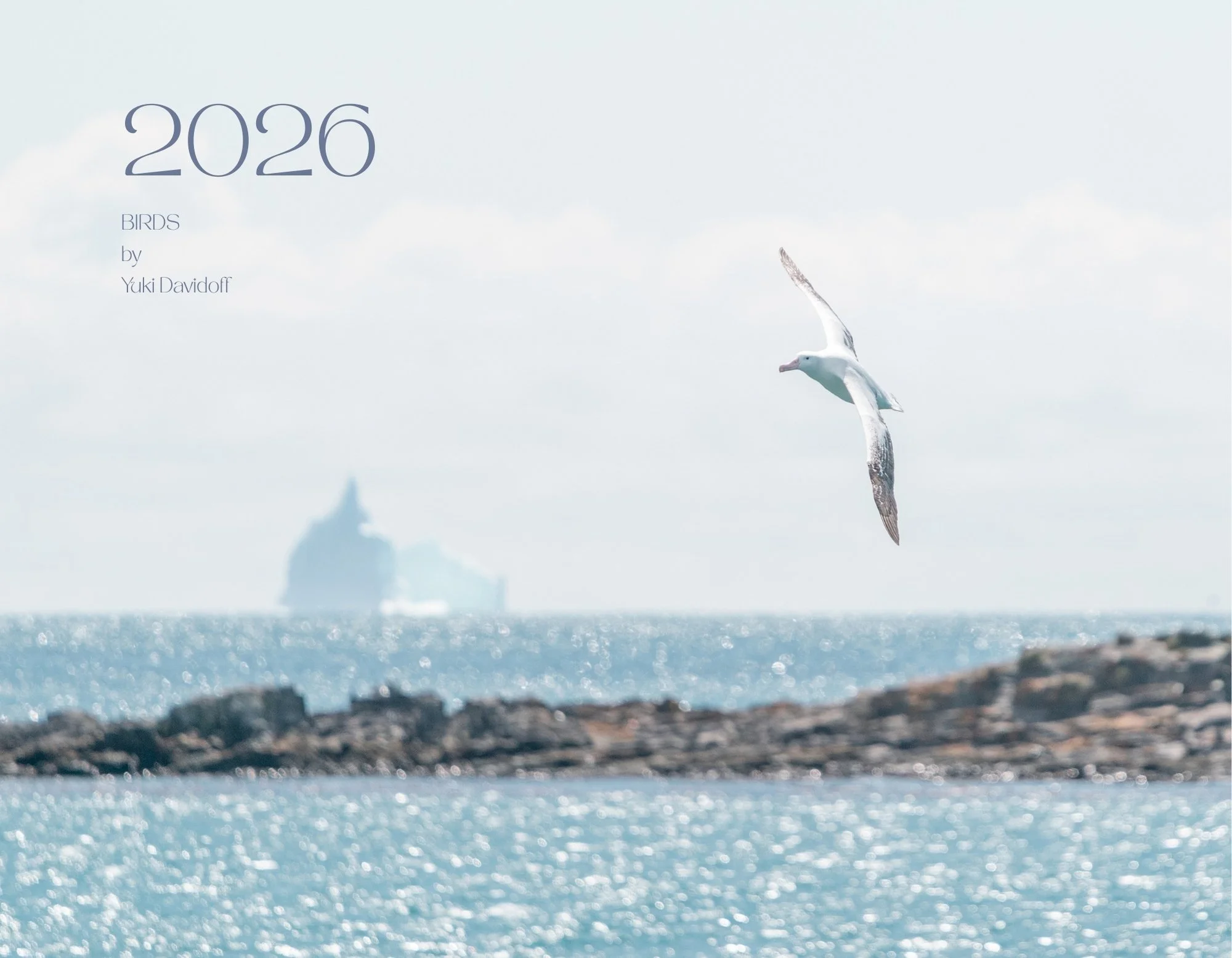 2026 Wall Calendar: Birds