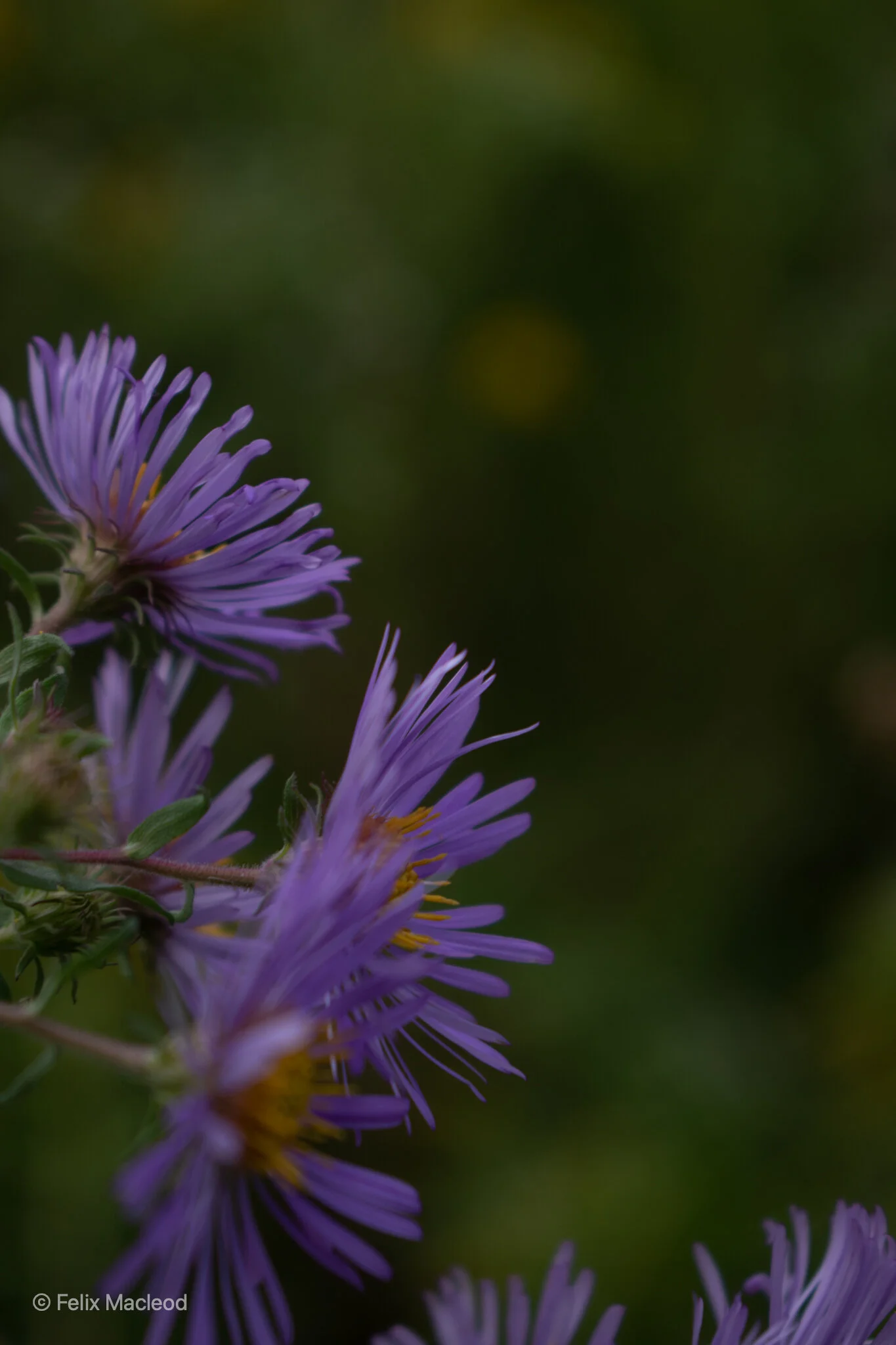 DSC_0506.jpg