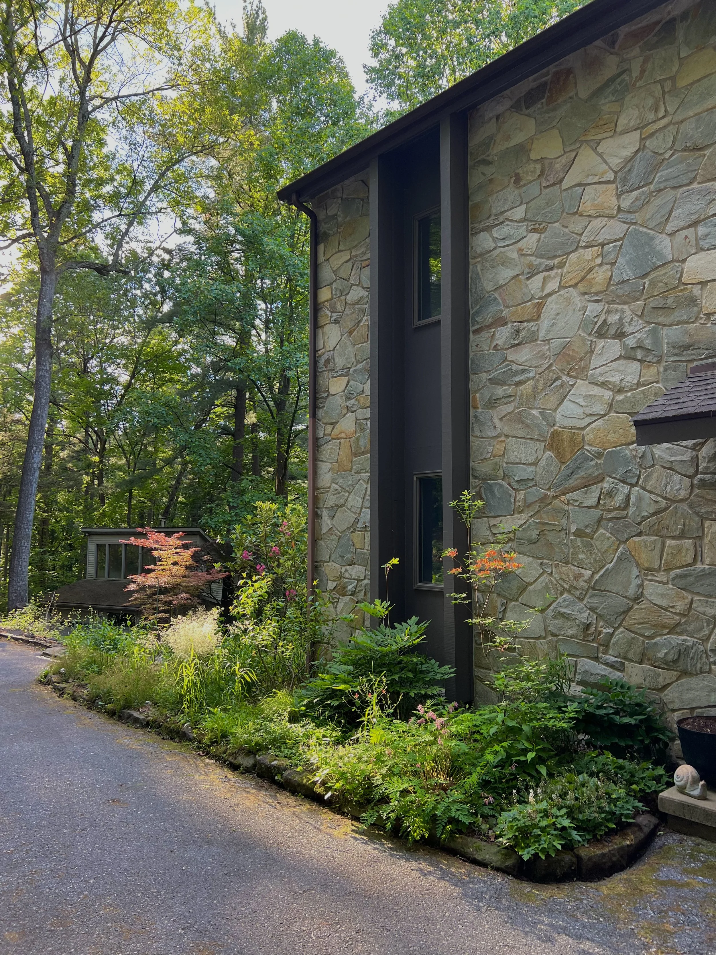 Native woodland garden with wildflowers and grasses