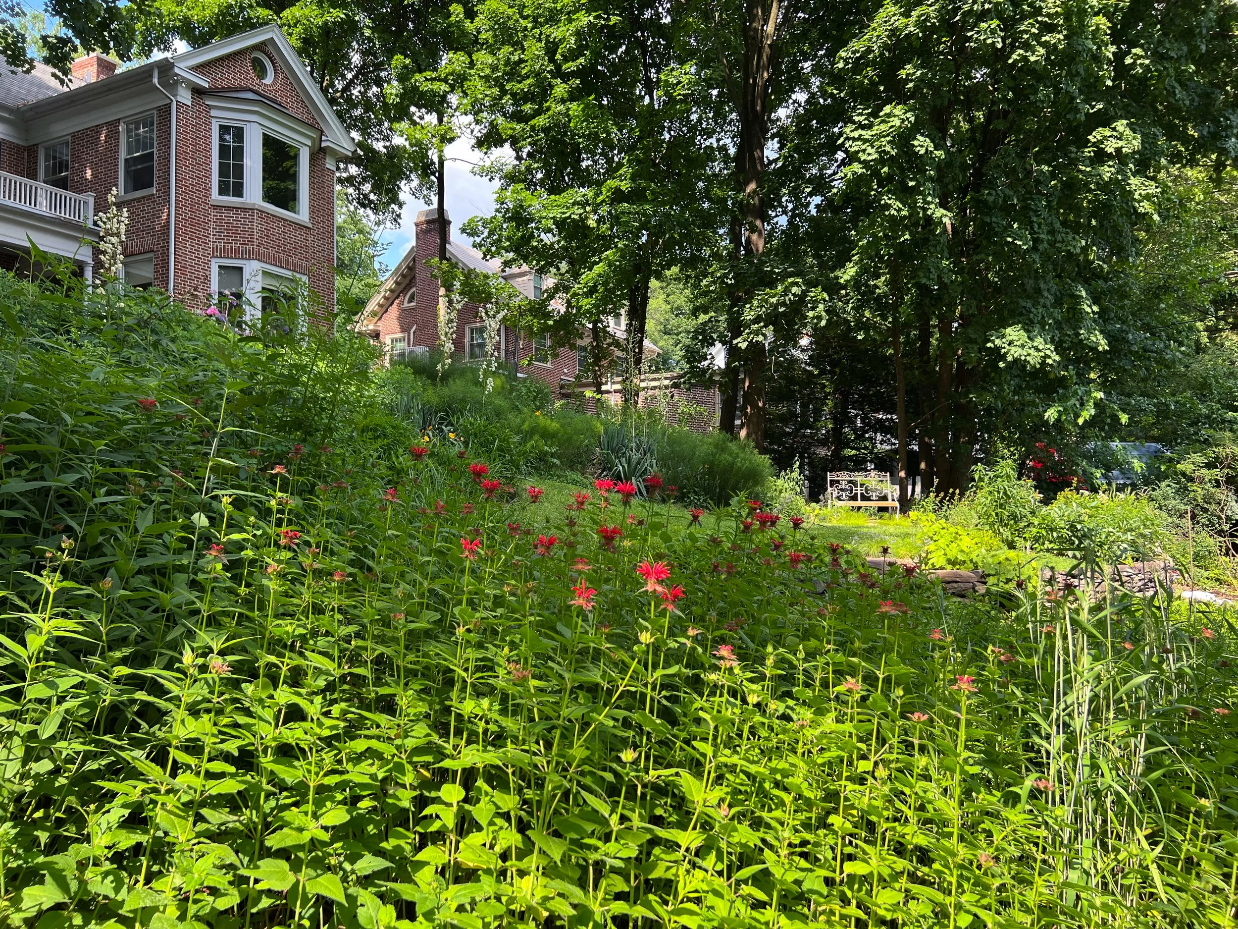 A house with a brick exterior and large windows, surrounded by lush green trees and colorful native flowering plants in a shaded garden.
