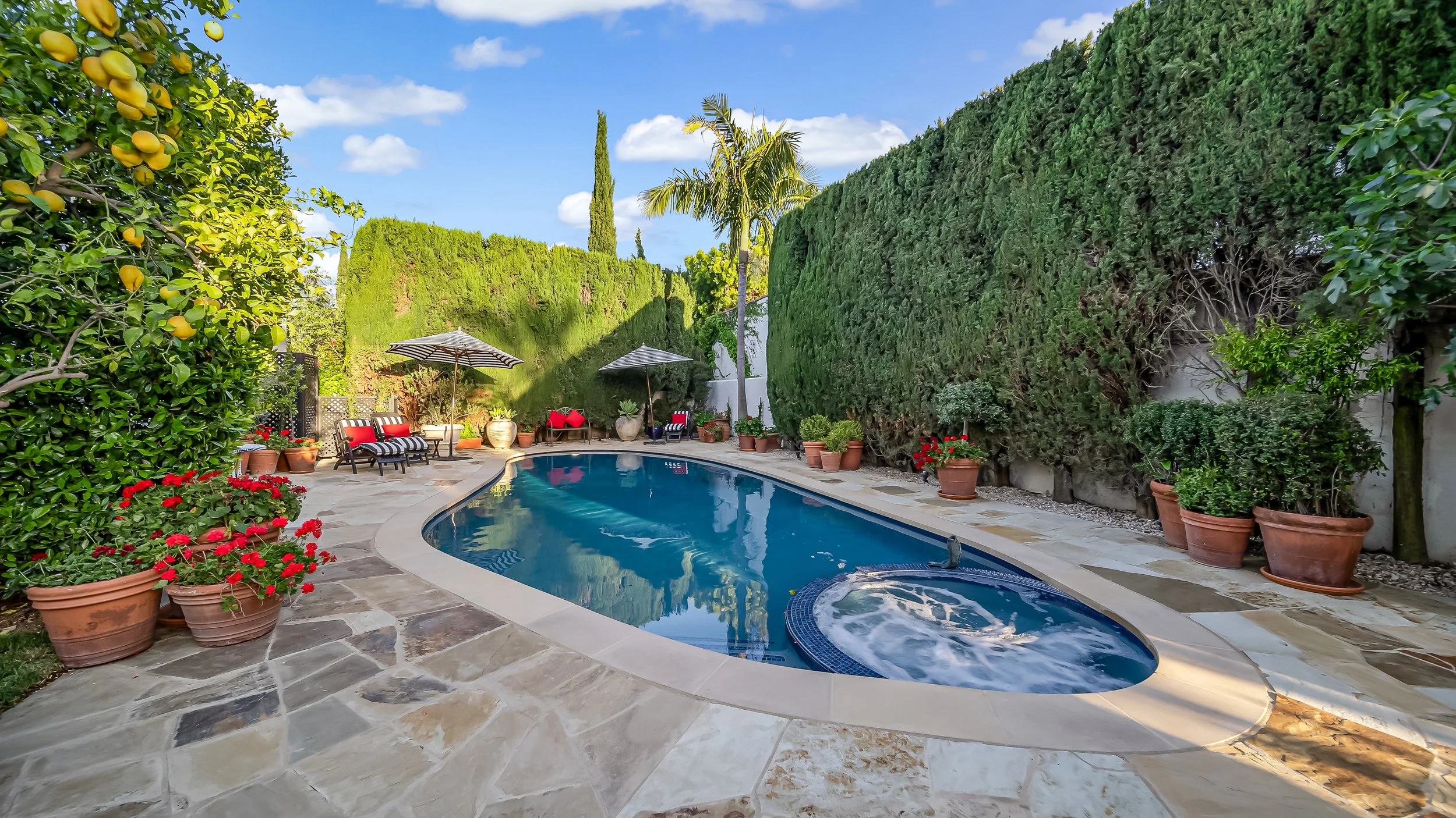 Backyard upgrade with custom pool and premium outdoor finishes