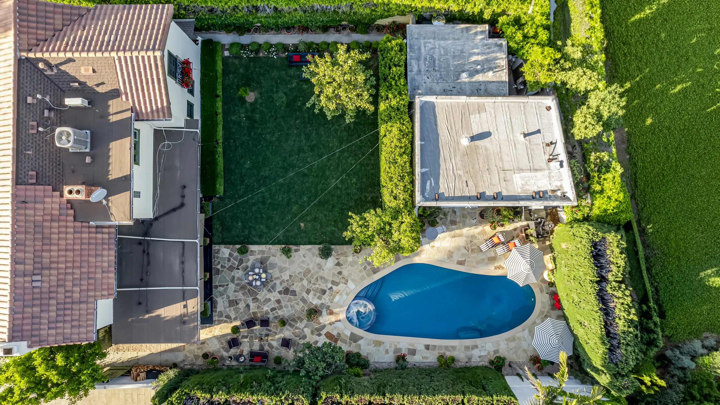 Complete backyard project with pool and contemporary design