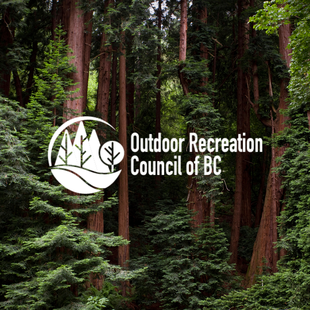 Hallis Lake Trail Sign Renewal
