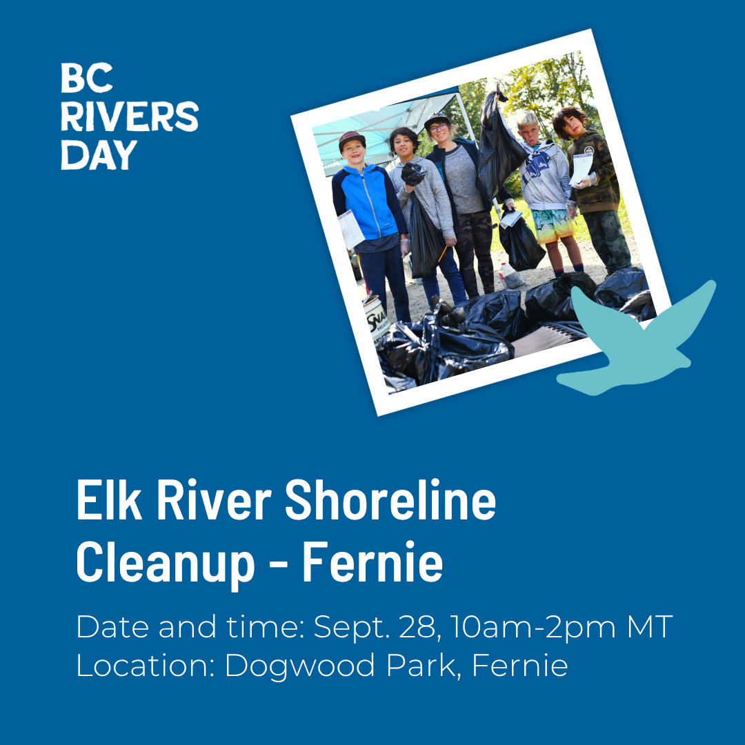 Elk River Shoreline Cleanup - Fernie