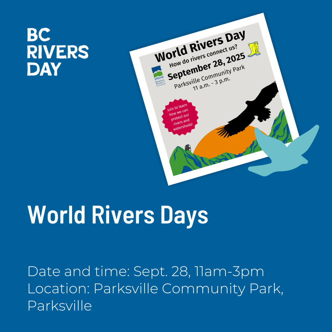 World Rivers Day
