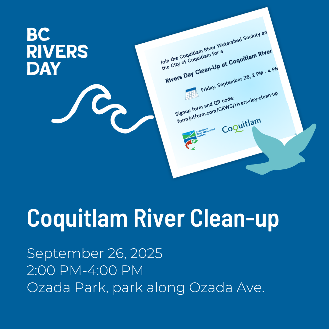 Coquitlam River Clean-up