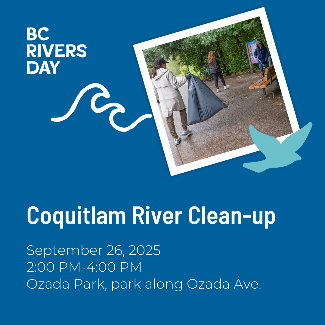 Coquitlam River Clean-up
