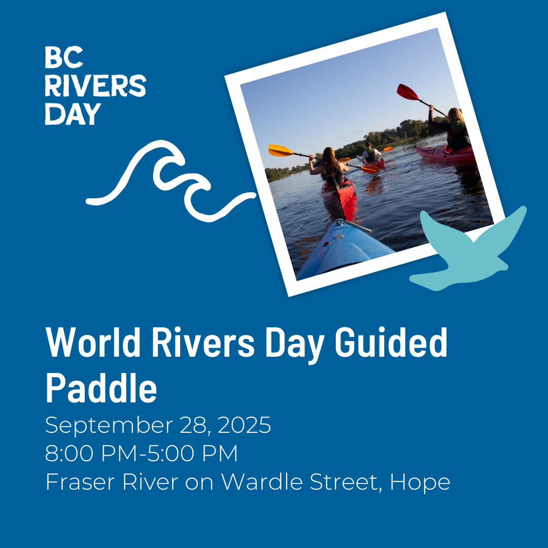 World Rivers Day Guided Paddle