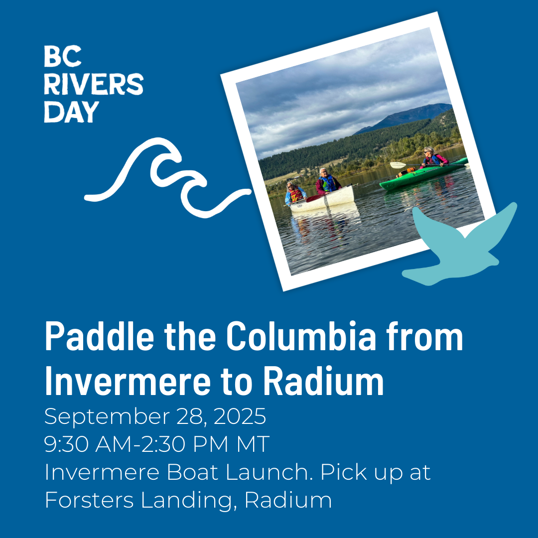 Paddle the Columbia from Invermere to Radium
