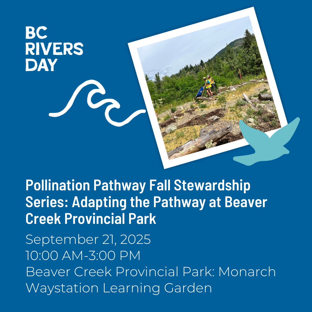 Pollination Pathway Fall Stewardship Series: Adapting the Pathway at Beaver Creek Provincial Park