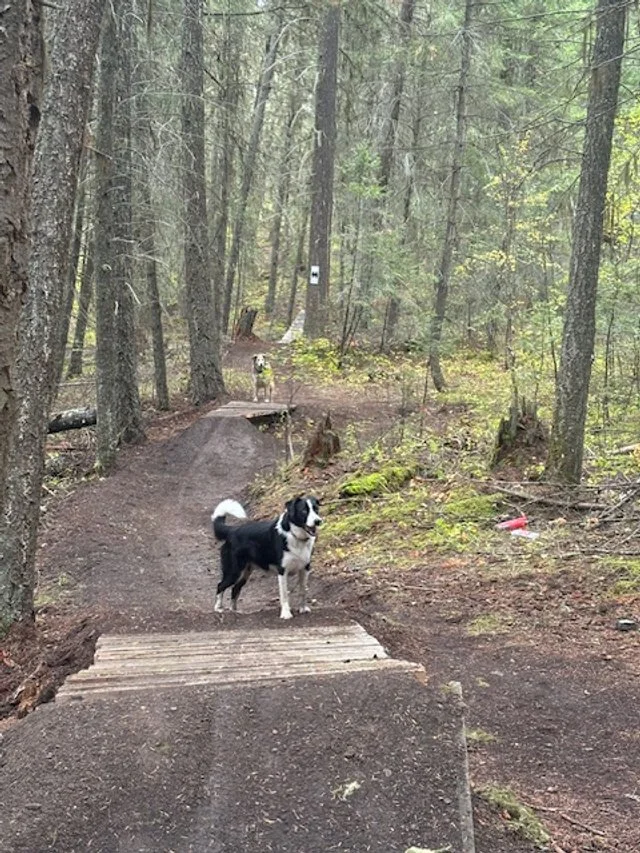 Westsyde Trail Rehabilitation 