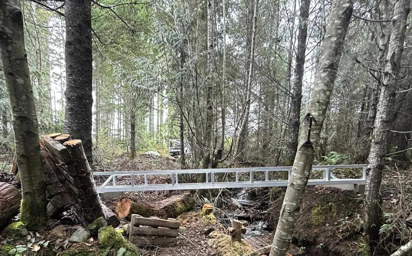 Mars Bridge Replacement