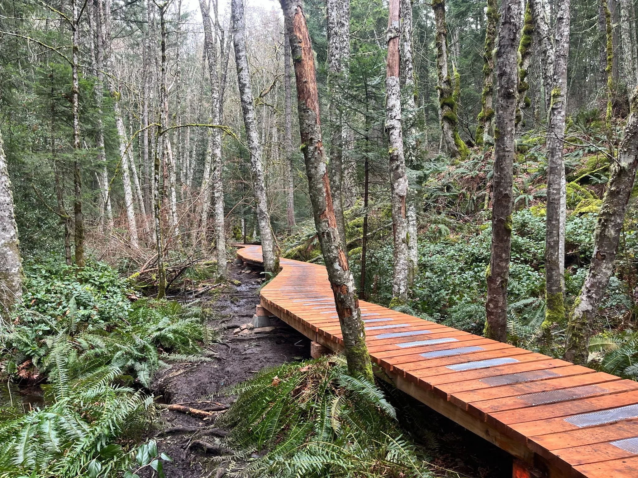 Healing Through Nature