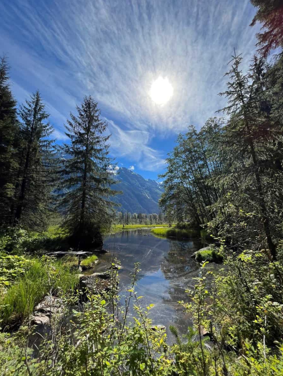 Bird Viewing Platform with interpretive signage