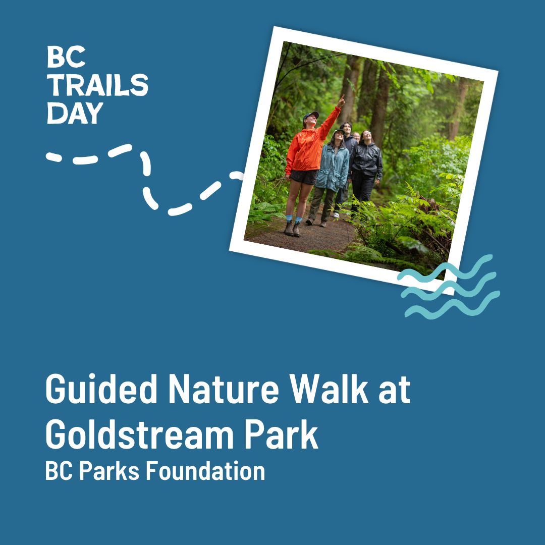 Guided Nature Walk at Goldstream Park