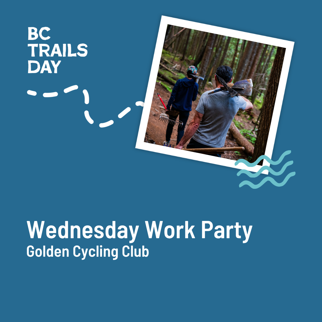 Wednesday Work Party