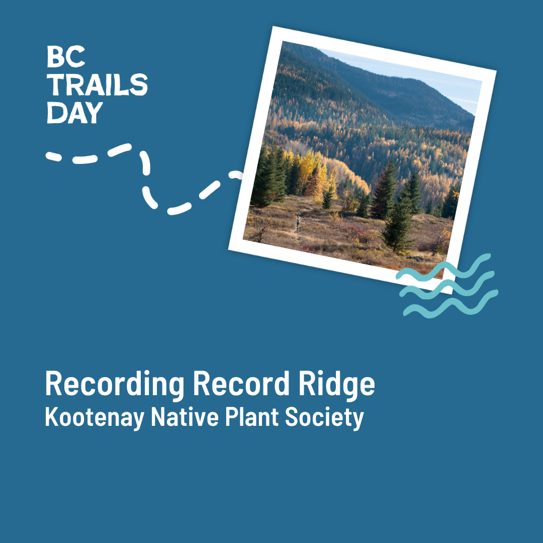 Recording Record Ridge