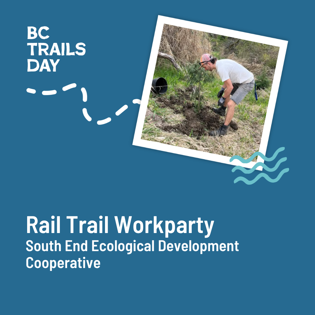 Rail Trail Workparty