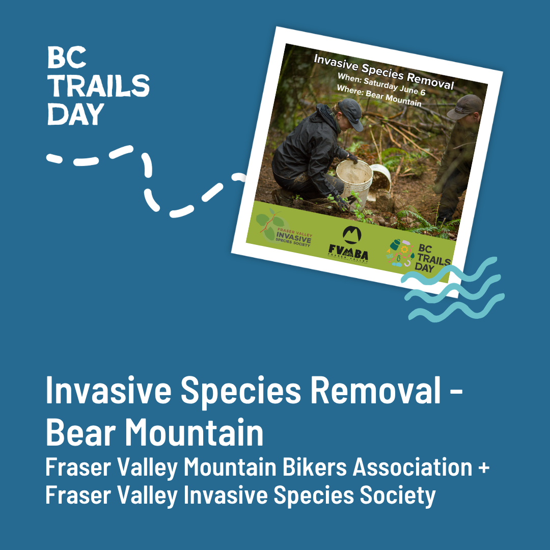 Invasive Species Removal - Bear Mountain