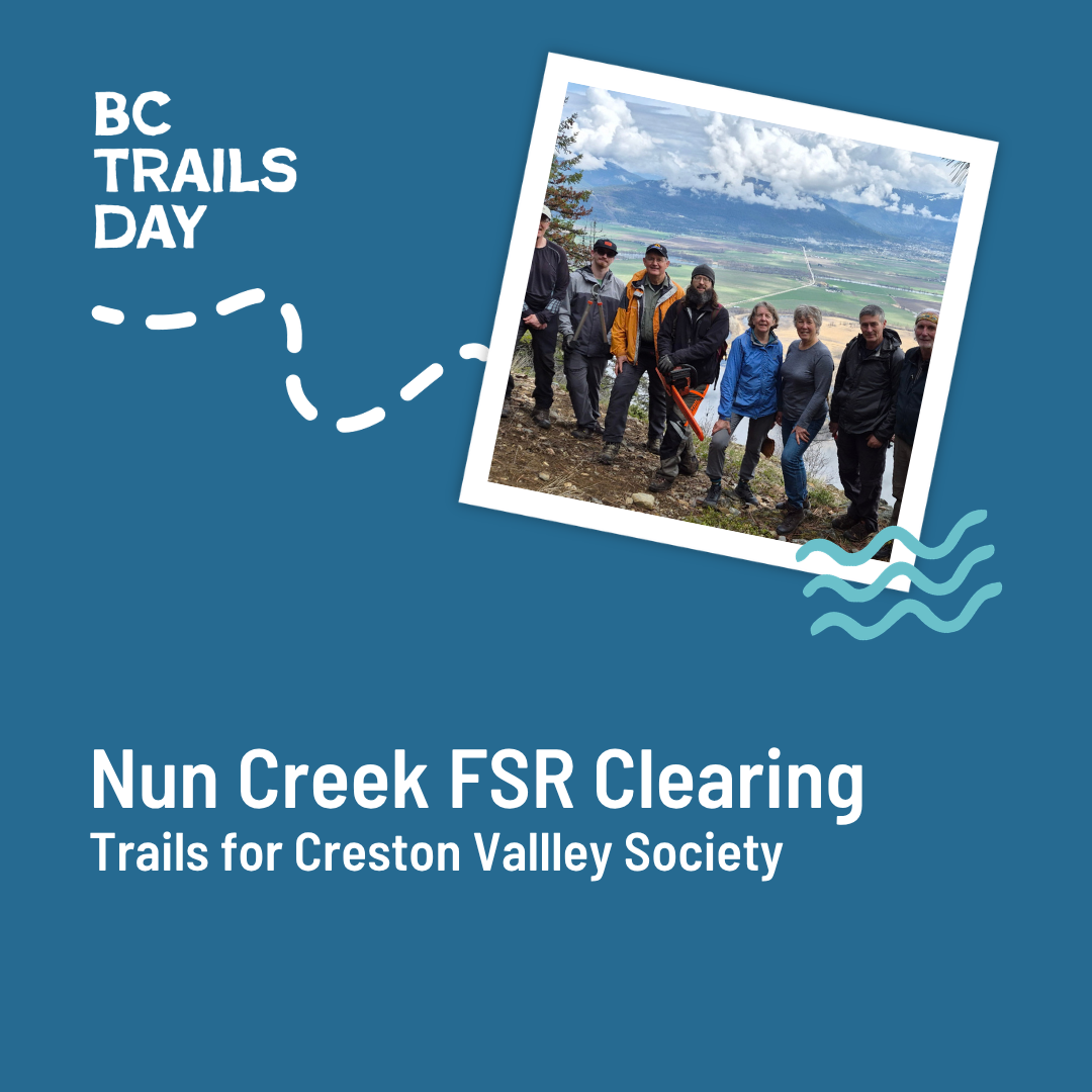 Nun Creek FSR Clearing