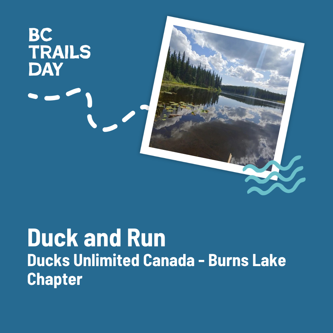Duck and Run