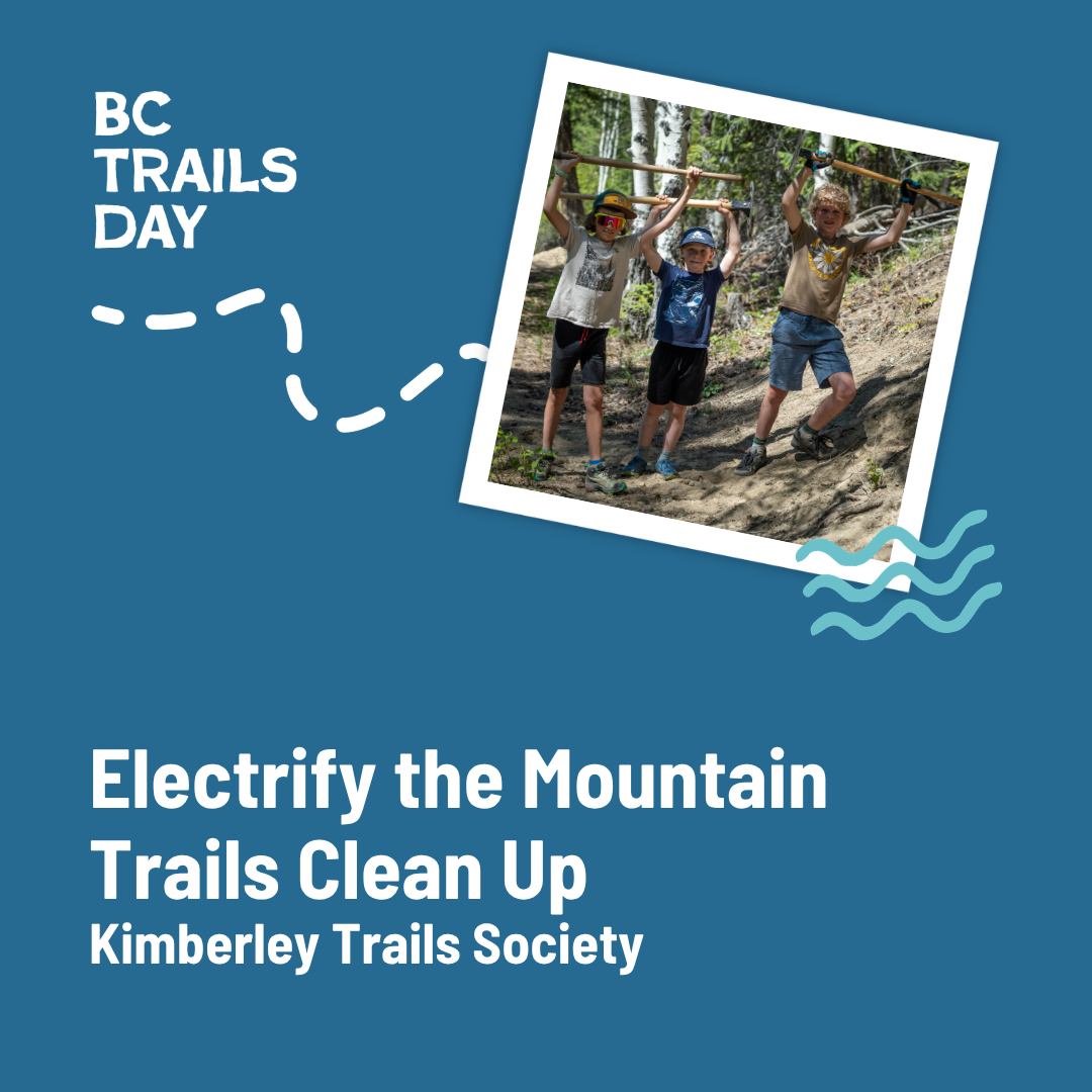 Electrify the Mountain Trails Clean Up