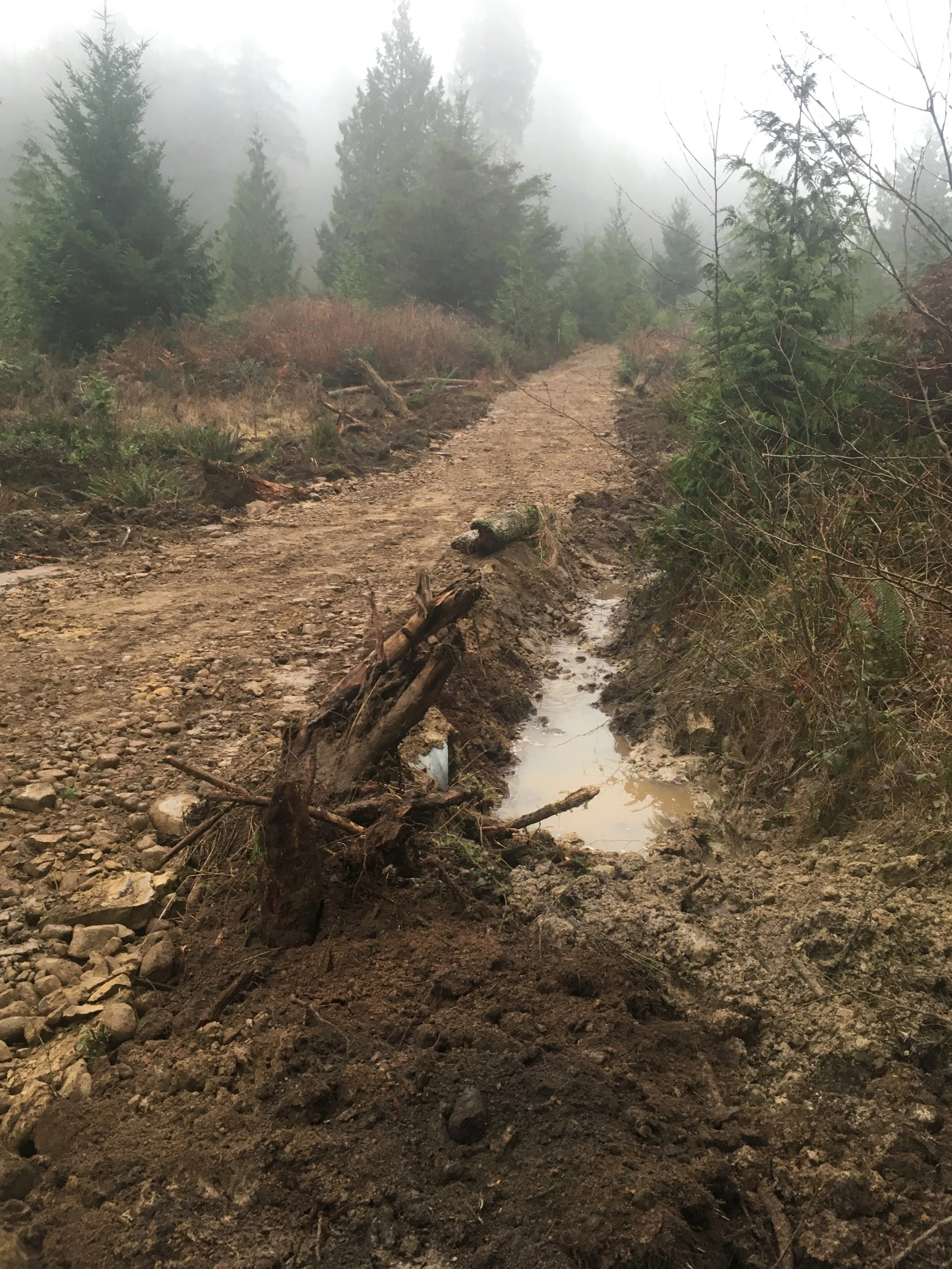 Chrystal Creek Watershed Interpretive Trail - Accessibility Enhancement