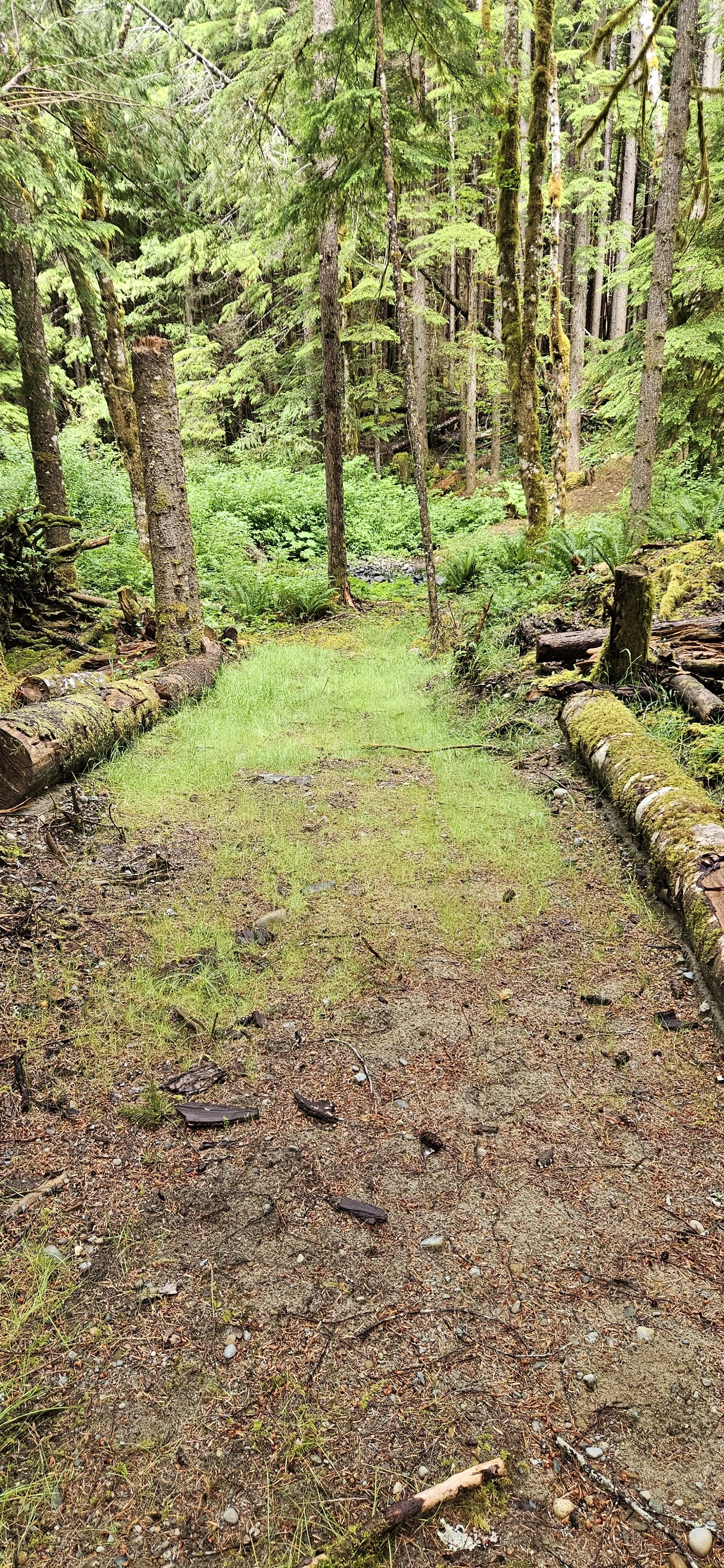 20260627_112549.jpg