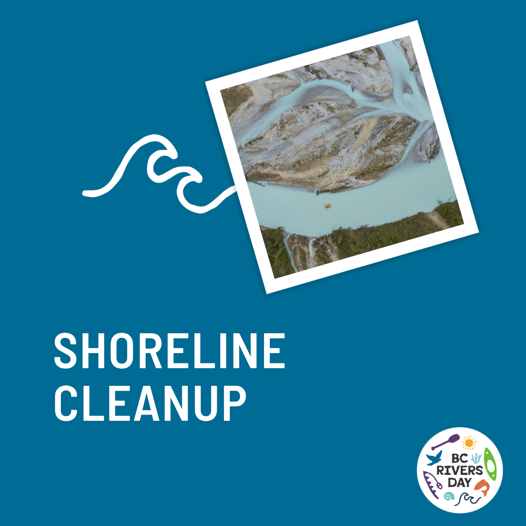 Shoreline Cleanup