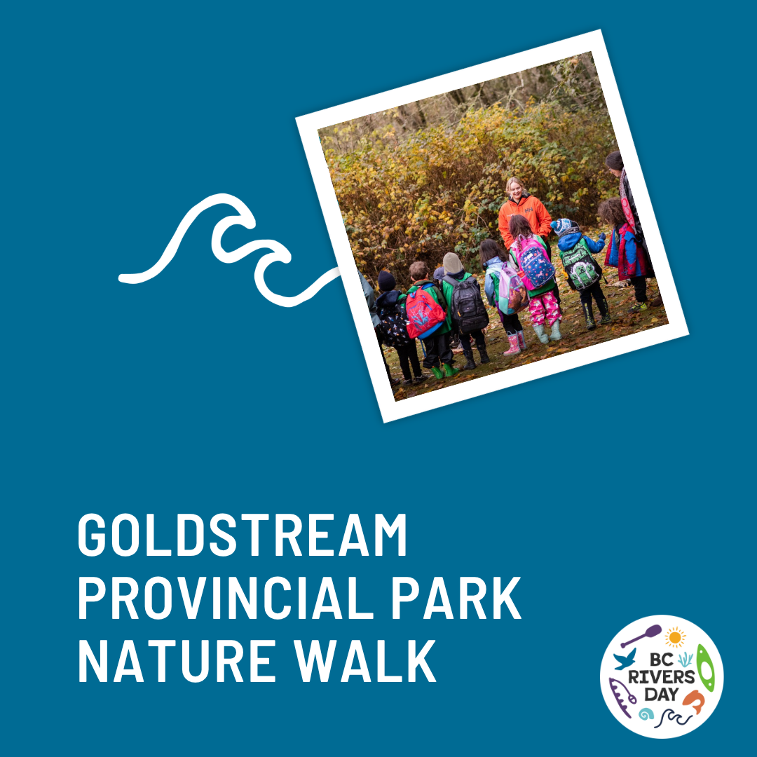 Goldstream Provincial Park Nature Walk