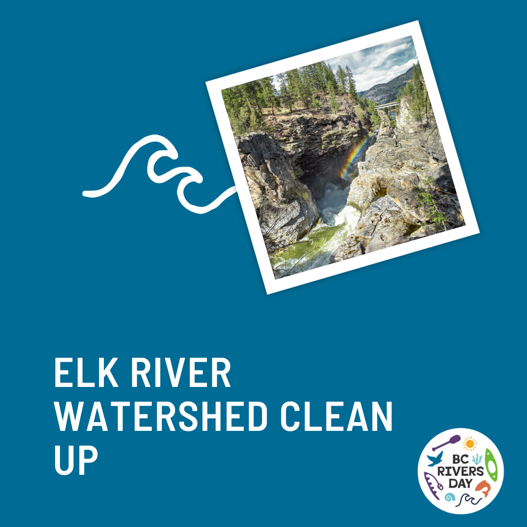 Elk River Watershed Clean Up